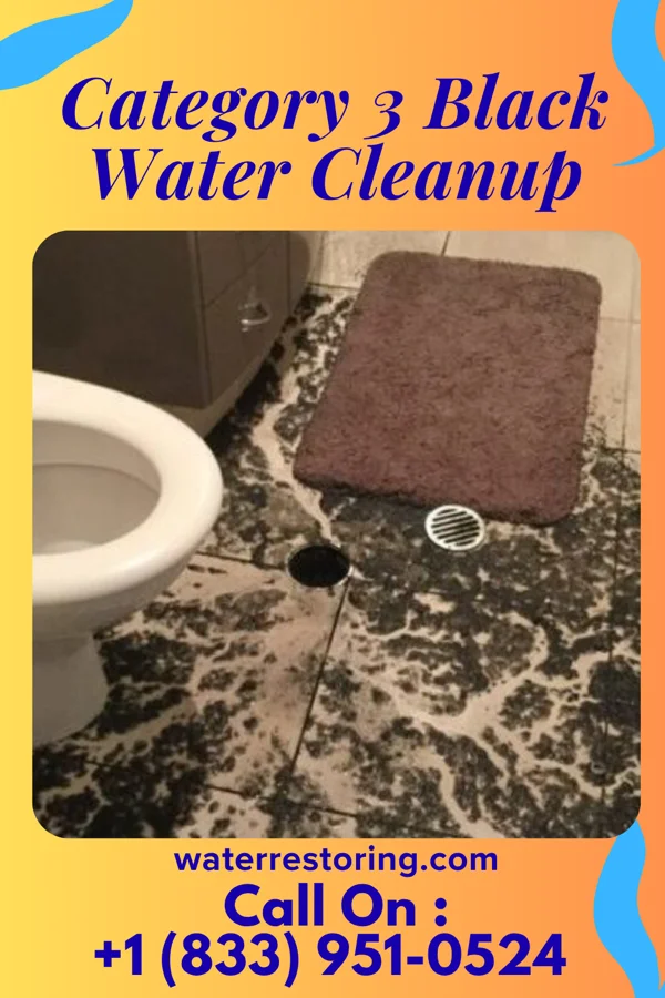 Category 3 Black Water Cleanup in Chagrin Falls, OH