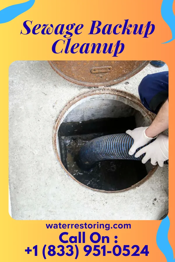 Sewage Backup Cleanup in Chagrin Falls, OH